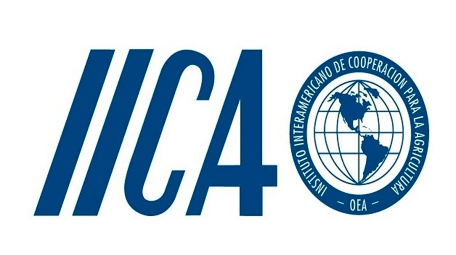 logo-iica-vale-este